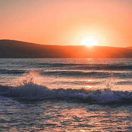 Hotel Sunny Sunny Beach